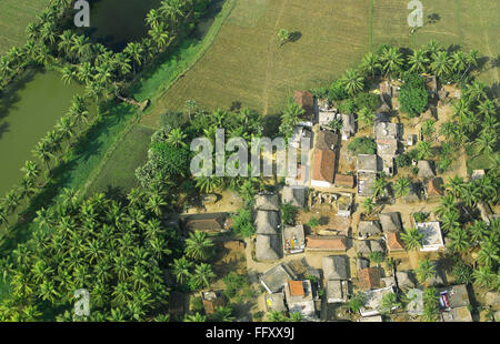 Vista aerea del campo circondato palme e case , Andhra Pradesh , India Foto Stock