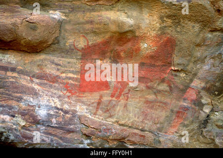 I dipinti rupestri che mostra red bison attaccando su roccia rifugi n. 15 diecimila anni bhimbetka bhopal Madhya Pradesh india - hma 208853 Foto Stock