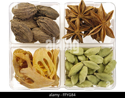 Spezie big cardamomo anice stellato essiccato macis lame Foto Stock