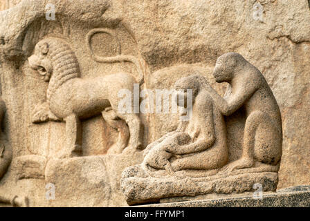 Arjuna penitenza o Bhagiratha penitenza massiccia aria aperta bassorilievo di scimmia e di monolito lion VII secolo a Mahabalipuram Tamil Nadu India Foto Stock