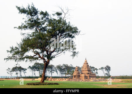 Shore tempio di Mahabalipuram è uno del più antico tempio in piedi sul bordo di mare , Mahabalipuram , Tamil Nadu , India Foto Stock