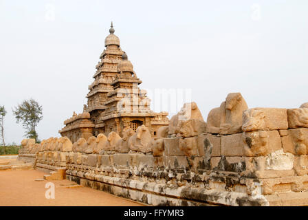 Shore tempio di Mahabalipuram è uno del più antico tempio in piedi sul bordo di mare , Mahabalipuram , Tamil Nadu , India Foto Stock