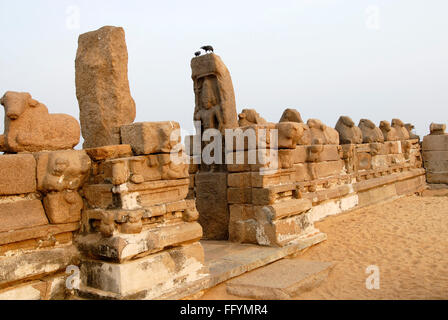 Shore tempio di Mahabalipuram è uno del più antico tempio racchiuso dalla fila di tori scavate nella roccia Mahabalipuram Tamil Nadu Foto Stock