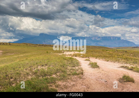 Via a monte Roraima - Venezuela, Sud America Foto Stock