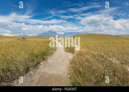 Via a monte Roraima - Venezuela, Sud America Foto Stock