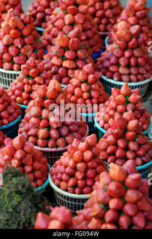 Frutta , Fragole fragaria ananassa per la vendita nel cestello blu Foto Stock