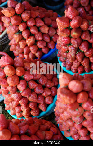 Frutta , Fragole fragaria ananassa per la vendita nel cestello blu Foto Stock