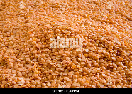 Impulsi , split di lenticchie rosse masoor dal Lens culinaris Foto Stock