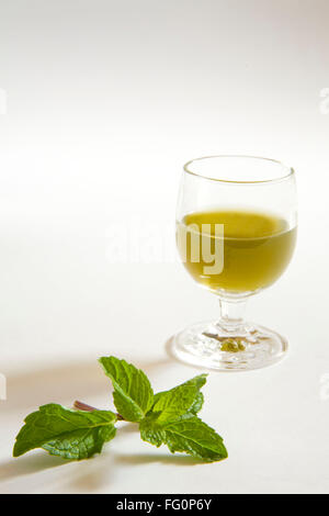 Green spezie succo di menta contro uno sfondo bianco , pudina ka rus , India Foto Stock
