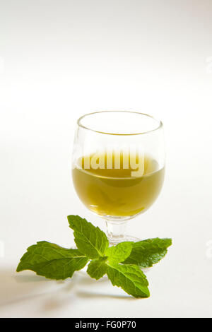 Green spezie succo di menta contro uno sfondo bianco , pudina ka rus , India Foto Stock