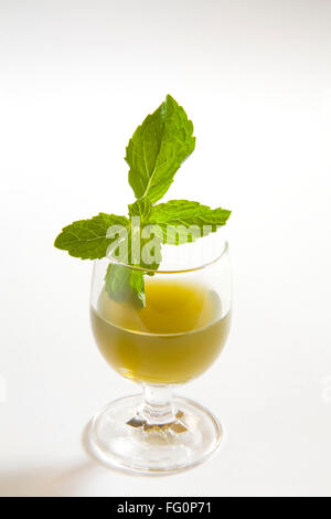 Green spezie succo di menta contro uno sfondo bianco , pudina ka rus , India Foto Stock