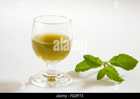 Green spezie succo di menta contro uno sfondo bianco , pudina ka rus , India Foto Stock