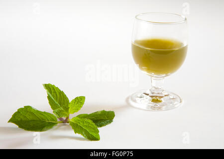 Green spezie succo di menta contro uno sfondo bianco , pudina ka rus , India Foto Stock