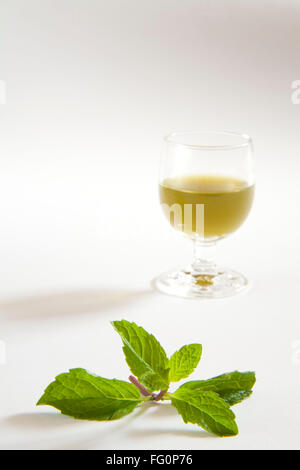 Green spezie succo di menta contro uno sfondo bianco , pudina ka rus , India Foto Stock