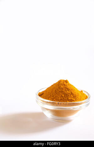 Indian Spice , la curcuma in polvere a Haldi Curcuma longa di bocce su sfondo bianco Foto Stock