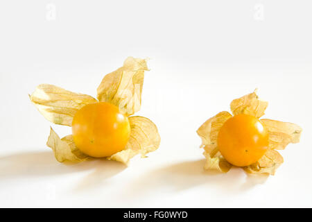 Frutti , Rasbhari lampone con foglie su sfondo bianco Foto Stock