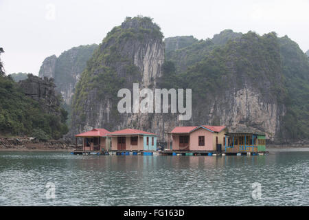 Le case galleggianti in un porto di pesca e pearl villaggio nella baia di Halong in Vietnam del Nord Foto Stock