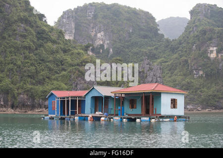 Le case galleggianti in un porto di pesca e pearl villaggio nella baia di Halong in Vietnam del Nord Foto Stock