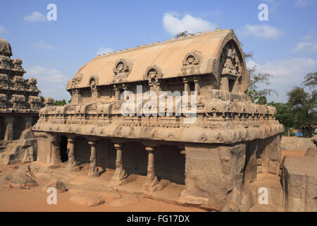 Bhima Ratha e Pancha Rathas monolito scolpito rock carving templi , Mahabalipuram , Quartiere Chengalpattu , Tamil Nadu Foto Stock