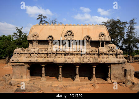 Bhima Ratha e Pancha Rathas monolito scolpito rock carving templi , Mahabalipuram , Quartiere Chengalpattu , Tamil Nadu Foto Stock