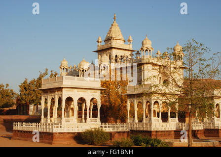 Jaswant Thada e royal cenotaphs e albero in primo piano , Jodhpur , Rajasthan , India Foto Stock