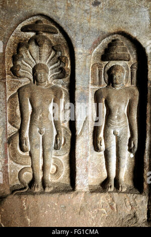 Tirthankara Jain Grotta Bagalkot Badami Karnataka India Asia Ott 2010 Foto Stock