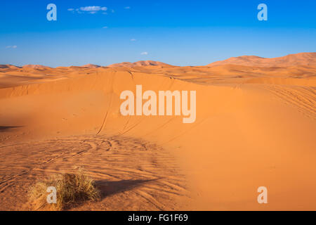 Le dune di sabbia del deserto del Sahara, Merzouga, Marocco Foto Stock