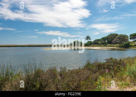 Quinta do Lago paesaggio, in Algarve, PORTOGALLO Foto Stock