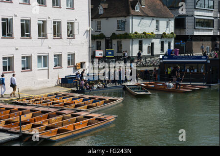 Sterline ormeggiato sul fiume Cam in Cambridge Regno Unito Foto Stock