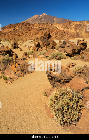 Il paesaggio del deserto nel Parco Nazionale del Teide Tenerife, Isole Canarie, Spagna. Fotografato in una giornata di sole. Foto Stock