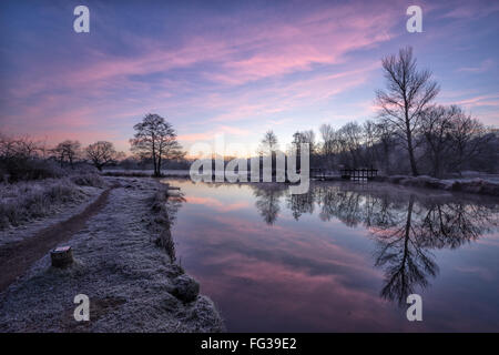 Alba sul fiume Wey di navigazione con la brina sulla terra e gli alberi si riflette nel fiume Foto Stock