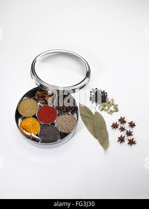 Diversi tipi di spezie secche in ciotole in acciaio inox su fondo bianco Foto Stock