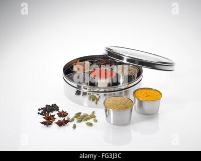 Diversi tipi di spezie in ciotole in acciaio inox box su sfondo bianco Foto Stock