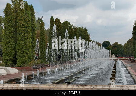 Gruppo da molte fontane ad acqua fluente nel giardino, Montana, Bulgaria Foto Stock