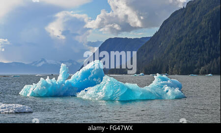 Iceberg dal ghiacciaio LeConte all'ingresso lecont baia vicino a Federico il suono nel sud-est Alaska Foto Stock