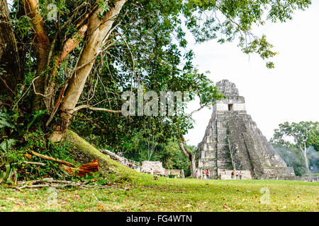 Tikal tempio I (tempio della grande Jaguar) nella piazza principale di Tikal, Guatemala Foto Stock