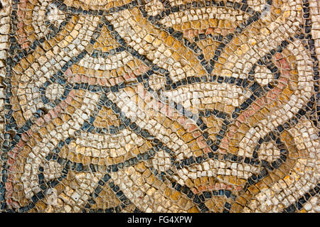 Pavimento a mosaico nel mosaico romano museo, noto anche come l'edificio romano, Constanta, Romania Foto Stock