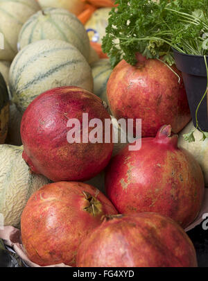 Sana freschi prodotti biologici melagrane, rockmelons, prezzemolo Foto Stock