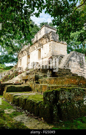 Acropoli centrale, Tikal, Guatemala Foto Stock