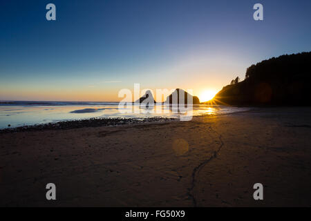 Heceta Head Beach si trova sulla bellissima Oregon Coast al tramonto su una chiara serata estiva vicino al tramonto. Foto Stock