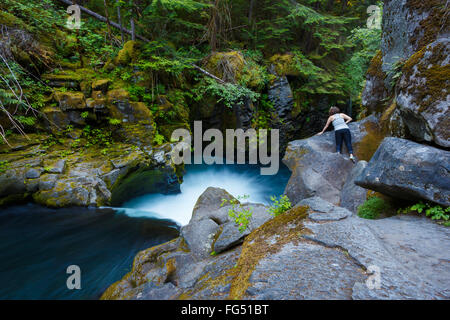 A nord del fiume Umpqua sopra Toketee Falls, un imponente cascata nella Foresta Nazionale. Foto Stock