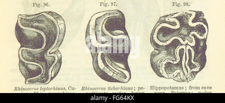 69 del '[lo studente la elementi di geologia ... Con ... illustrazioni.]" Foto Stock