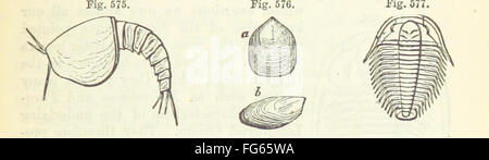 09 di '[lo studente la elementi di geologia ... Con ... illustrazioni.]" Foto Stock