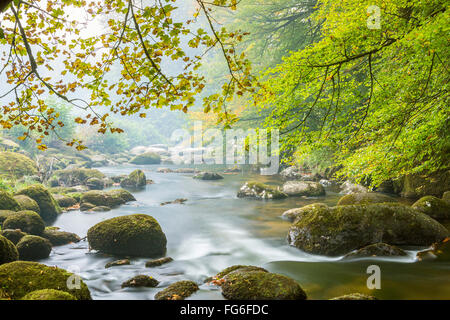 L'Oriente Dart River attraverso boschi a Dartmeet nel Parco Nazionale di Dartmoor, Devon, Inghilterra, Regno Unito, Europa. Foto Stock