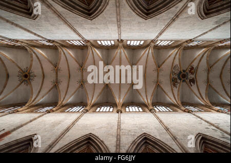 Soffitto a volta, Ulm Minster, Ulm, Baden-Württemberg, Germania Foto Stock