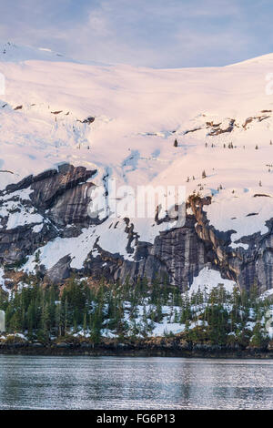 Alberi sempreverdi crescono sulla riva di Kings Bay, Prince William Sound, cime coperte di neve in aumento in background Foto Stock