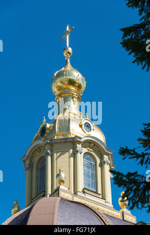 Cupola della Cattedrale di San Pietro e Paolo, Zayachy Isola, San Pietroburgo, regione nord-occidentale, Repubblica Russa Foto Stock