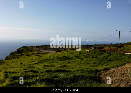 Geografia / viaggi, Portogallo, Madera, Ponta do Pargo, vista dalla cima della costa ripida verso l'Oceano Atlantico, Additional-Rights-Clearance-Info-Not-Available Foto Stock