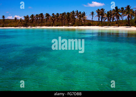 Costa e rock in laguna blu relax di Isla Contoy messico Foto Stock