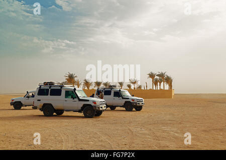 Avventura safari nel deserto Foto Stock